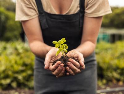 Welspun Living's Strategies for Environmental Conservation in Agriculture