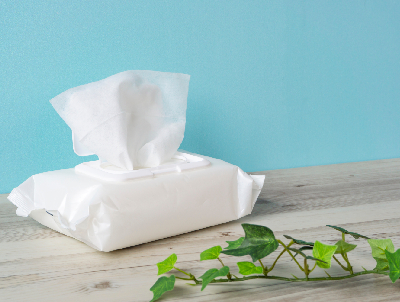 Wet Wipes using Sustainable Materials

